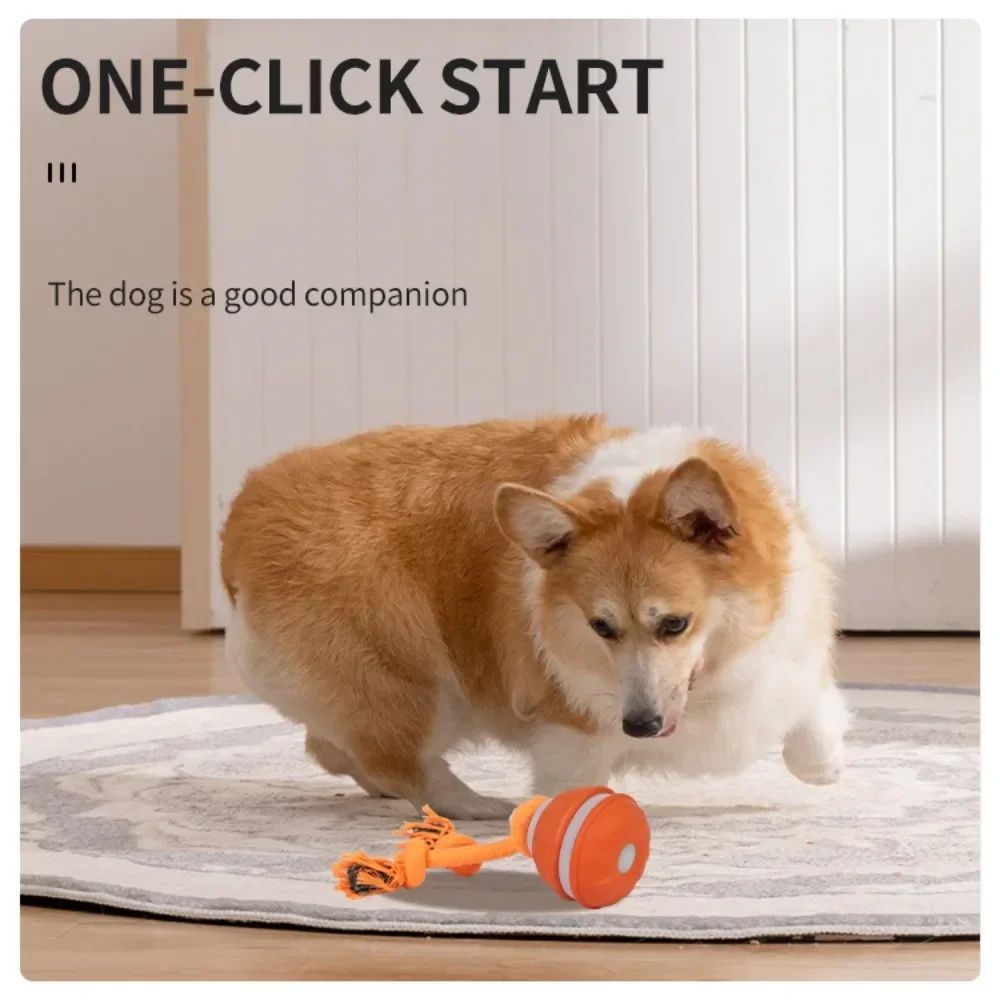 Interactive MotionActivated Dog Ball Automatic Rolling USB Rechargeable Toy For Puppies Small 2