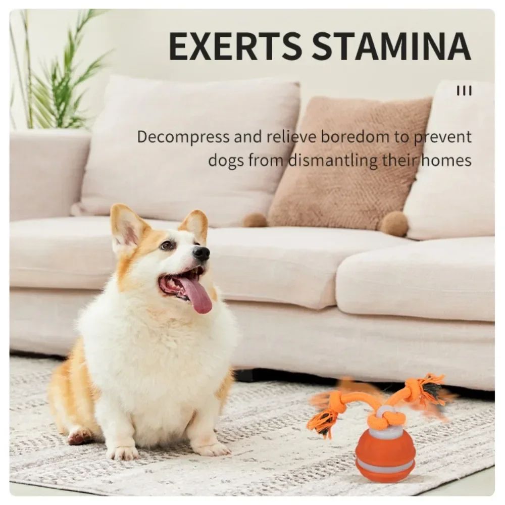 Interactive MotionActivated Dog Ball Automatic Rolling USB Rechargeable Toy For Puppies Small 3