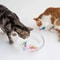 LED Interactive Swimming Robot Fish Cat Toy Glowing Electric Fish For Hunting Play Stimulation 5