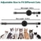 AirTag Cat Collar With Holder Cute Reflective Breakaway Kitten Collar With Bell 1