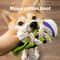Interactive Dog Chew Slipper Toy Cotton Rope Teeth Cleaning Squeaky Shoe With Bell BB Airbag 2