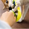 Interactive Dog Chew Slipper Toy Cotton Rope Teeth Cleaning Squeaky Shoe With Bell BB Airbag 3