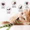 BiteResistant Catnip Lizard Chew Toy Teeth Cleaning Interactive Indoor Cat Toy For Kittens Cats H 1