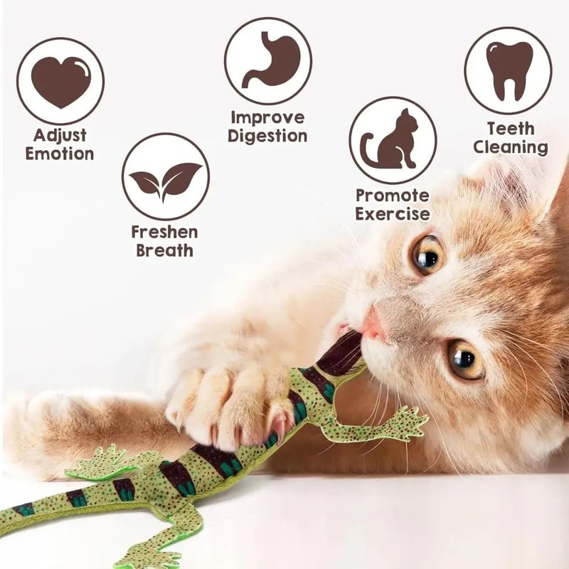BiteResistant Catnip Lizard Chew Toy Teeth Cleaning Interactive Indoor Cat Toy For Kittens Cats H 1