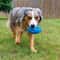 Durable Squeaky Rubber Chew Ball Teeth Cleaning Toy For Aggressive Chewers Medium Large Dogs 5
