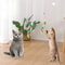 7 Pcs Hanging Cat Toy Set Sticky Disc Door Teaser With Elastic Rope For Interactive Play 1