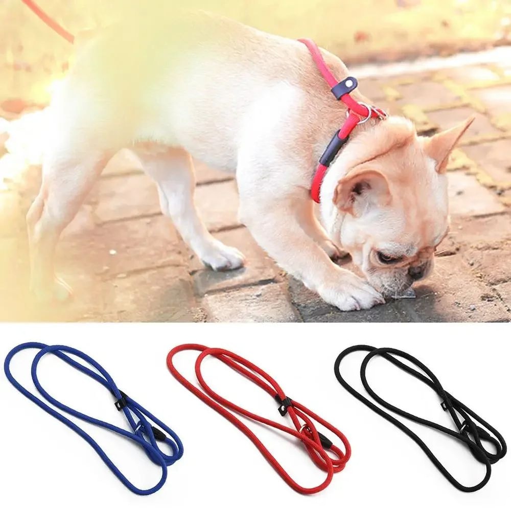 Dog Slip Rope Leash 5118 In Strong Nylon Training Lead With Adjustable Slipknot 1