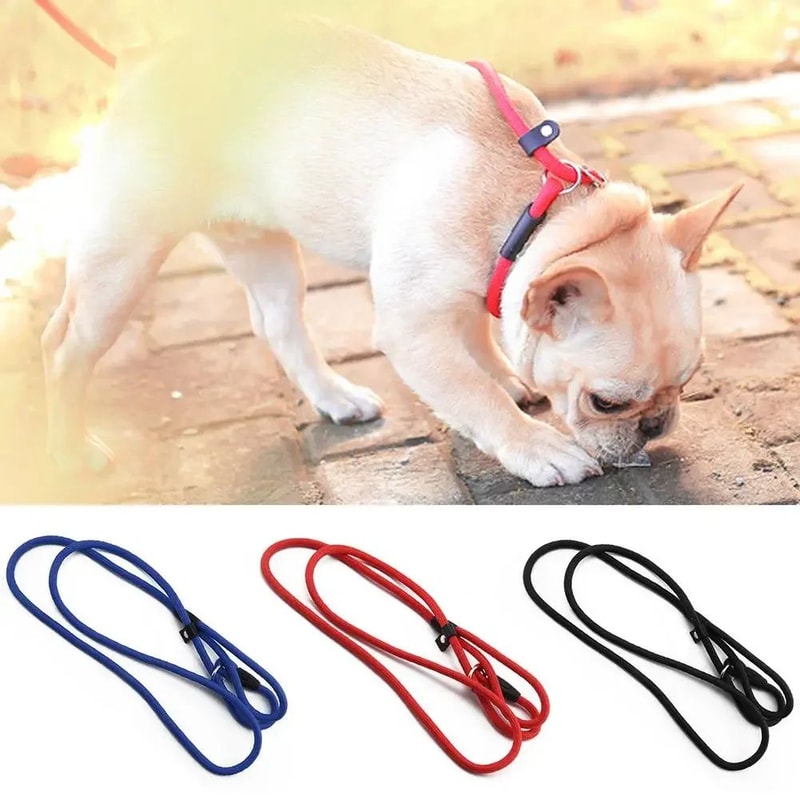 Dog Slip Rope Leash 5118 In Strong Nylon Training Lead With Adjustable Slipknot 1