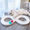 Interactive Cat Toy Turntable Teasing Stick Tunnel Set 1