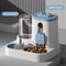 Automatic Dog Cat Feeder And Water Dispenser Set Gravity Food Feeder And Waterer With Pet Food Bow 6