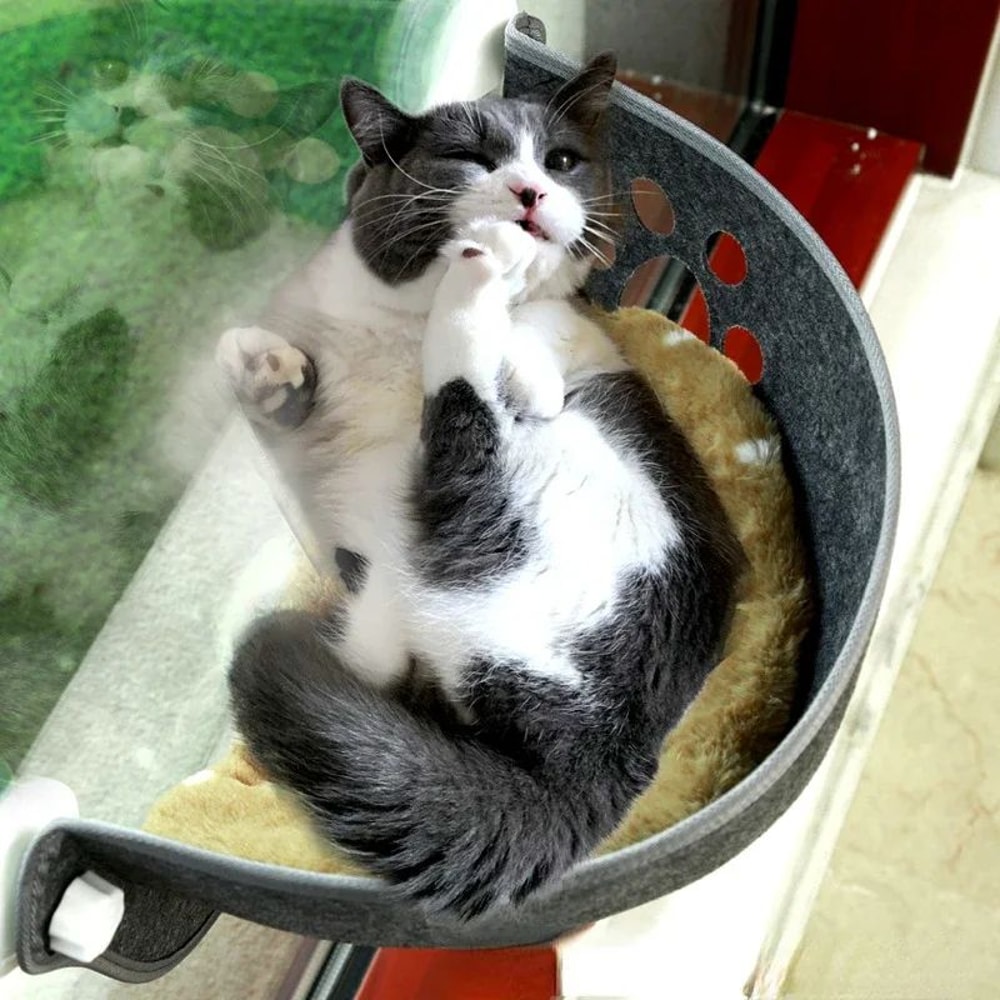 Cat Window Hammock Bed With Cushion Sunny Suction Cup Hanging Window Seat For Cozy Cat Naps 1