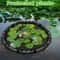 Floating Pond Plant Protector Ring Fine Mesh Fish Barrier Corral For Water Lilies Aquatic Plants 1