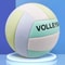 Official Size 5 Soft Touch Volleyball Indoor Outdoor Training Ball For Gym Beach Beginners Teens 1