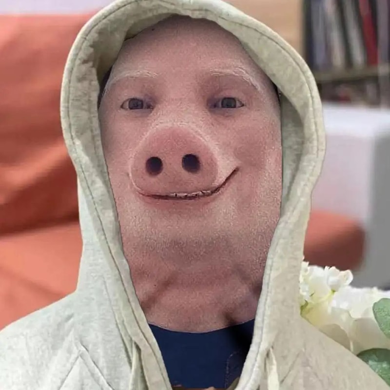 3D Animal Print Unisex Face Bandana Mask With Ear Loops UV Sun Protection Neck Gaiter Balaclava Fo 1