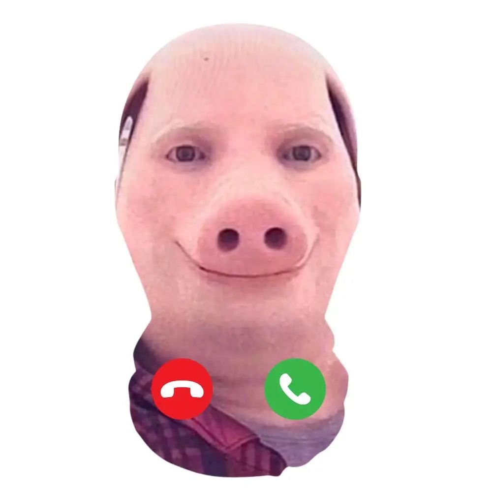 3D Animal Print Unisex Face Bandana Mask With Ear Loops UV Sun Protection Neck Gaiter Balaclava Fo 14