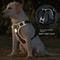 Reflective Tactical Dog Harness Vest 1680D Waterproof Oxford Cloth HeavyDuty NoPull Harness For Me 3