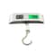 110lb50kg Digital Luggage Scale With LCD Display Portable Hanging Travel Baggage Weighing Scale For 6