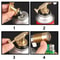 HighTemperature Gas Welding Torch Blowtorch For Copper Brazing Soldering Portable Brass Burner For 3