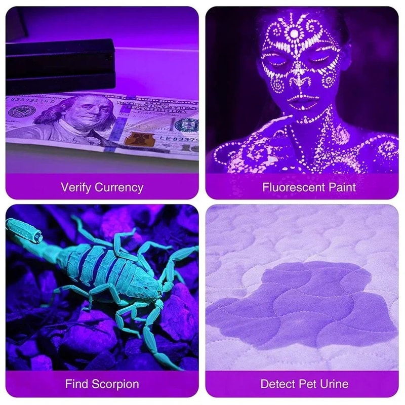 395nm UV Flashlight Black Light Torch 912 LED Pet Urine Stain Bed Bug Detector For Carpet Rooms 2