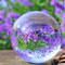 K9 Clear Crystal Ball Decor Solid Glass Sphere Figurine For Home Display Photography Props Elegan 1