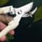 Stainless Steel Fruit Picking Pruning Shears Gardening Scissors For Tree Trimming Flower Cutting 0