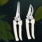 Stainless Steel Fruit Picking Pruning Shears Gardening Scissors For Tree Trimming Flower Cutting 1