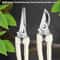 Stainless Steel Fruit Picking Pruning Shears Gardening Scissors For Tree Trimming Flower Cutting 2