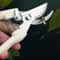 Stainless Steel Fruit Picking Pruning Shears Gardening Scissors For Tree Trimming Flower Cutting 3