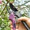 SK5 High Carbon Steel GearDriven Garden Pruning Shears Bypass Tree Trimmers For Effortless Rough B 0