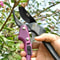 SK5 High Carbon Steel GearDriven Garden Pruning Shears Bypass Tree Trimmers For Effortless Rough B 0