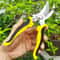 Stainless Steel Professional Pruning Shears Sharp Garden Secateurs For Branches Fruit Trees Flower 1