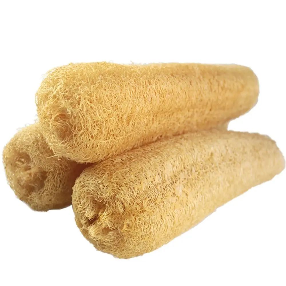 Natural Loofah Luffa Sponge Long PlantBased Dishwashing Bath Scrubber NonStick Safe Super Absorbe 1