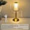 Rechargeable Touch Sensor LED Table Lamp With Dimming Nordic Bedside Night Light For Bedroom Hotel 2