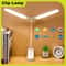 Dual Head USBC Rechargeable LED Desk Lamp Foldable EyeCare Dimmable Reading Light For Bedroom Dorm 0