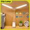 Dual Head USBC Rechargeable LED Desk Lamp Foldable EyeCare Dimmable Reading Light For Bedroom Dorm 0