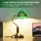 Classic Green Bankers Desk Lamp LED Reading Table Light With Acrylic Shade Vintage Study Lamp For H 12