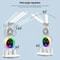 LED Desk Lamp With Fan Clock Display Adjustable Brightness Reading Light For Study Night Light For 1