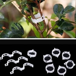 reusable plant support clips for vines - plastic trellis stem fixing connectors for garden, orchard & climbing plants