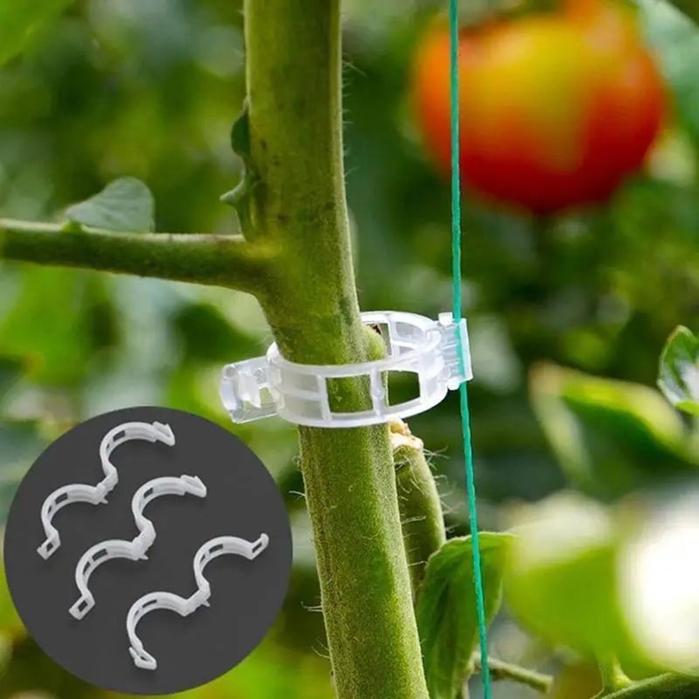 Reusable Plant Support Clips For Vines Plastic Trellis Stem Fixing Connectors For Garden Orchard 4