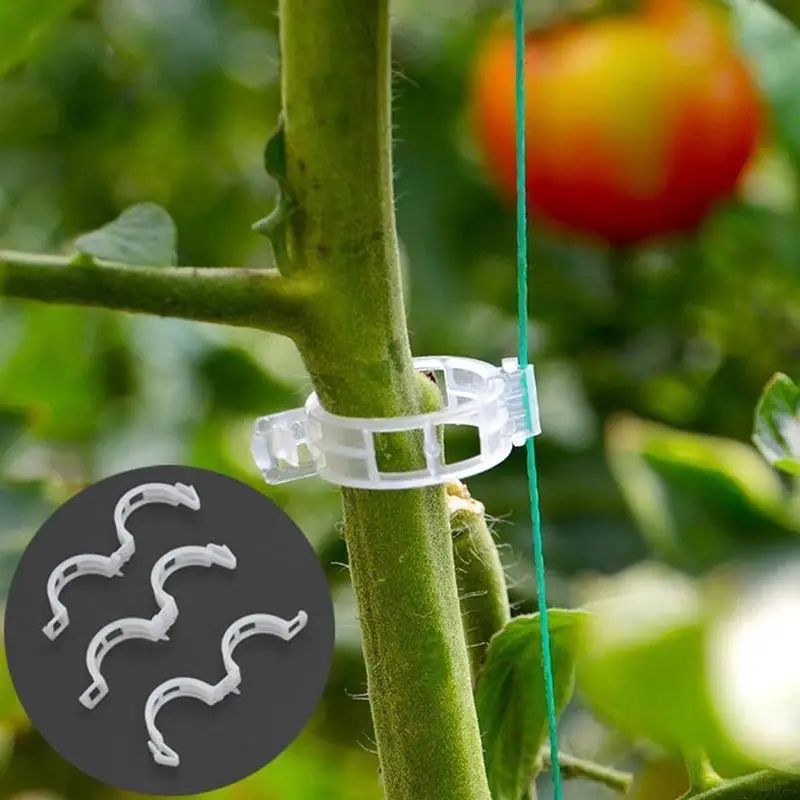 Reusable Plant Support Clips For Vines Plastic Trellis Stem Fixing Connectors For Garden Orchard 4