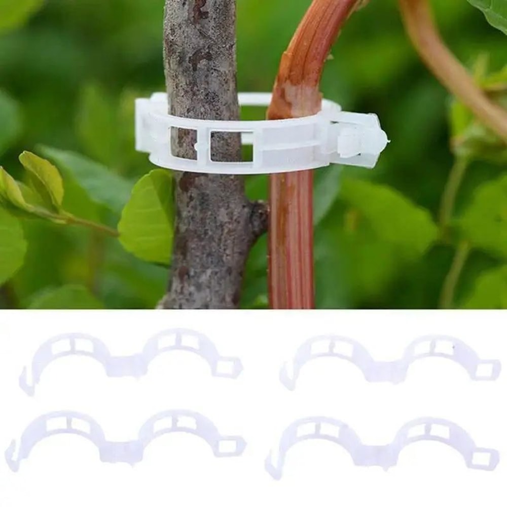 Reusable Plant Support Clips For Vines Plastic Trellis Stem Fixing Connectors For Garden Orchard 5