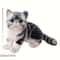 Lifelike American Shorthair Cat Plush Toy Realistic Stuffed Kitty Doll For Home Decor Kids Stress R 2