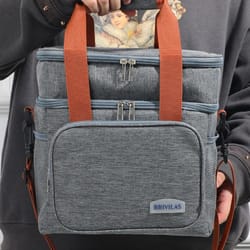 fashion crossbody insulated lunch bag | large capacity thermal food organizer for work, travel, business & daily use