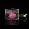 Food Grade Transparent Square Plastic Storage Boxes With Open Top Bottom Covers Candy Nail Art Or 6