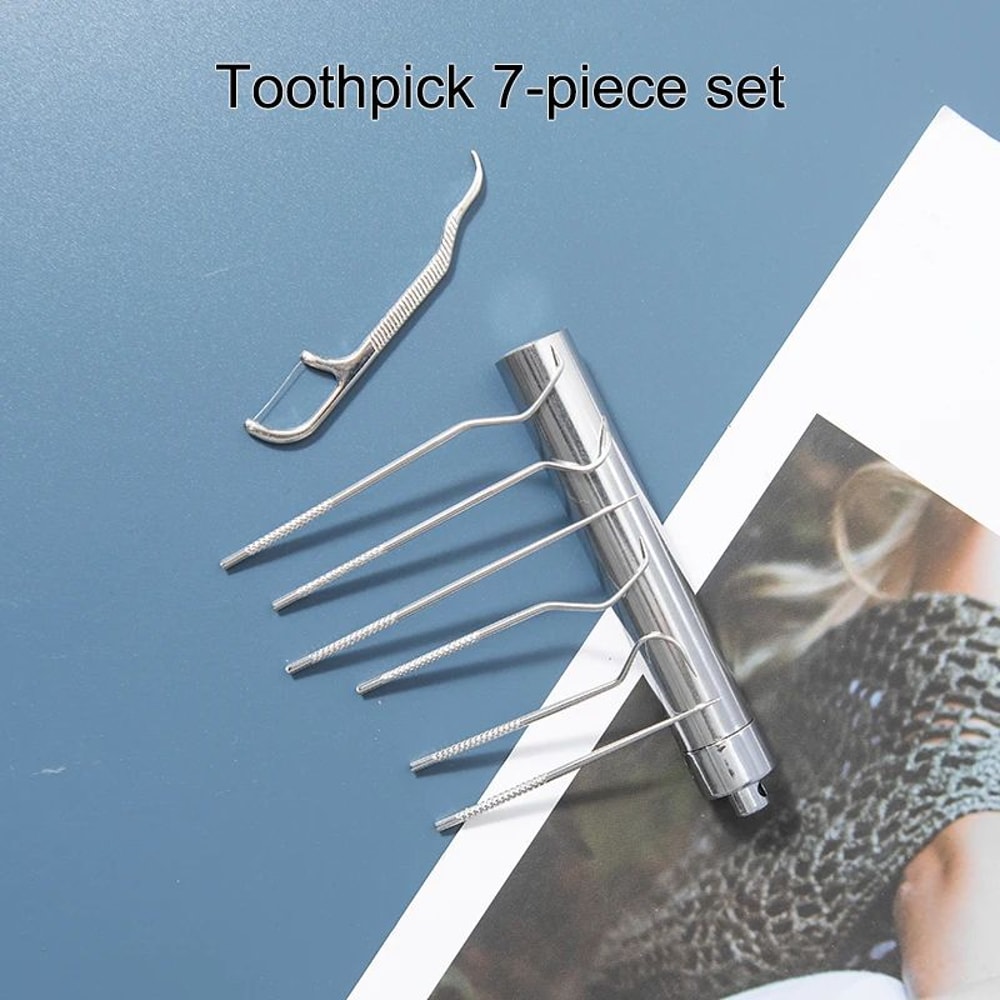 Stainless Steel Toothpick Set With Portable Holder Reusable Dental Cleaning Tools Travel Case Anti 1
