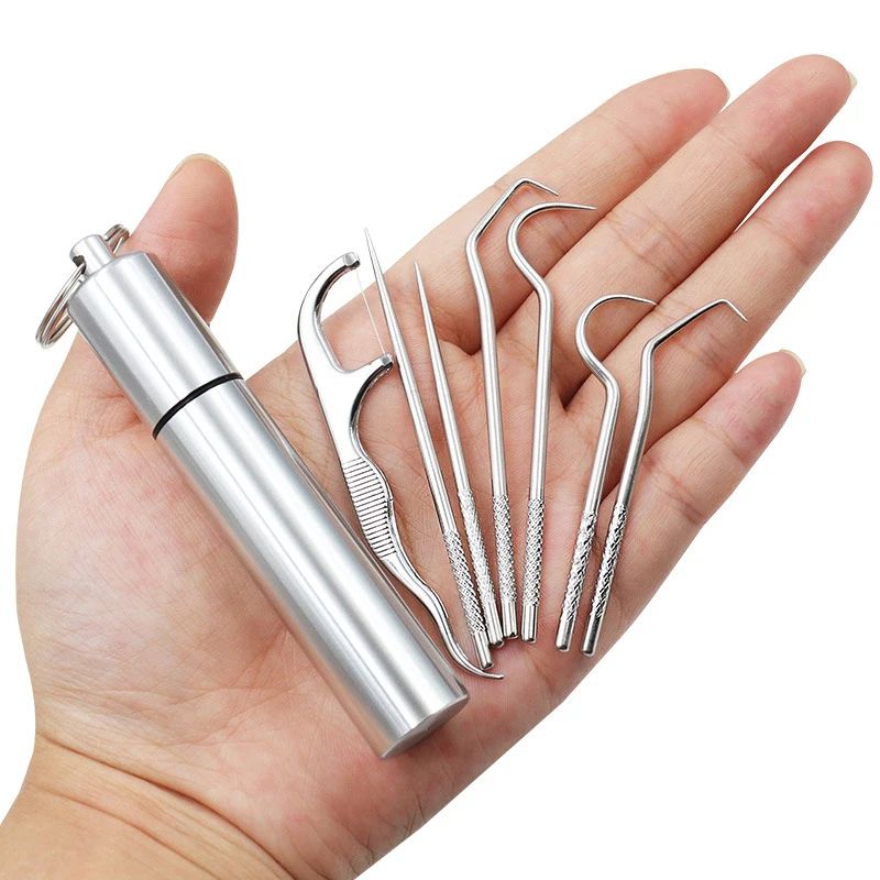 Stainless Steel Toothpick Set With Portable Holder Reusable Dental Cleaning Tools Travel Case Anti 3