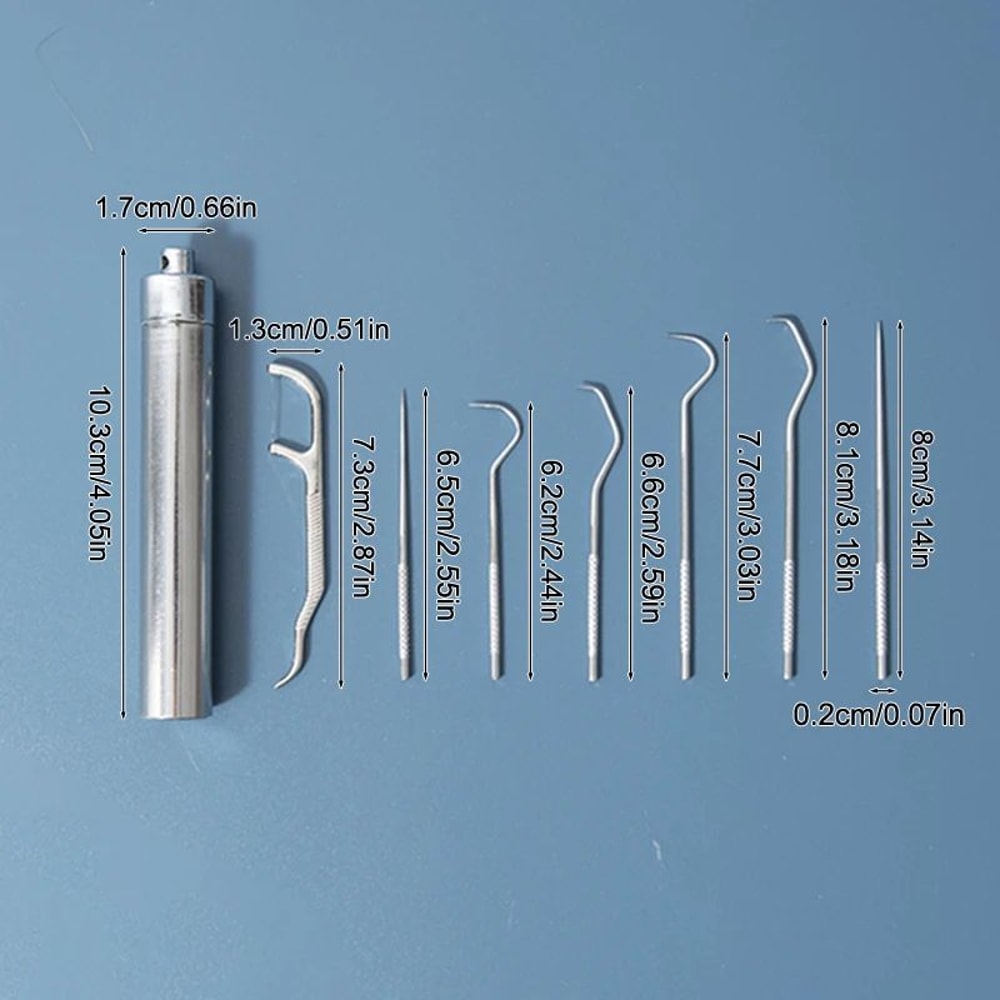 Stainless Steel Toothpick Set With Portable Holder Reusable Dental Cleaning Tools Travel Case Anti 4