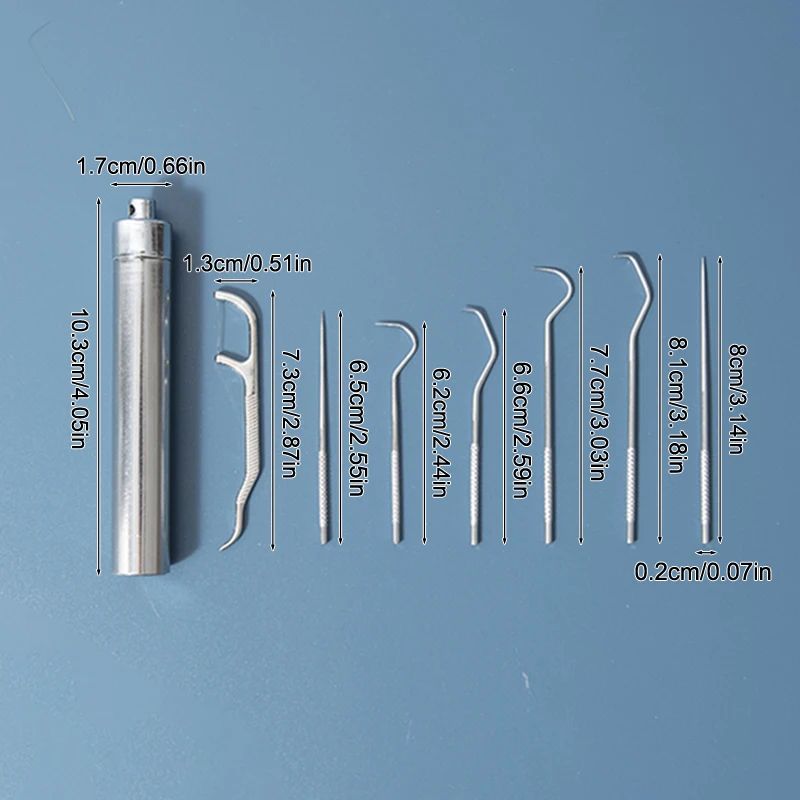 Stainless Steel Toothpick Set With Portable Holder Reusable Dental Cleaning Tools Travel Case Anti 4