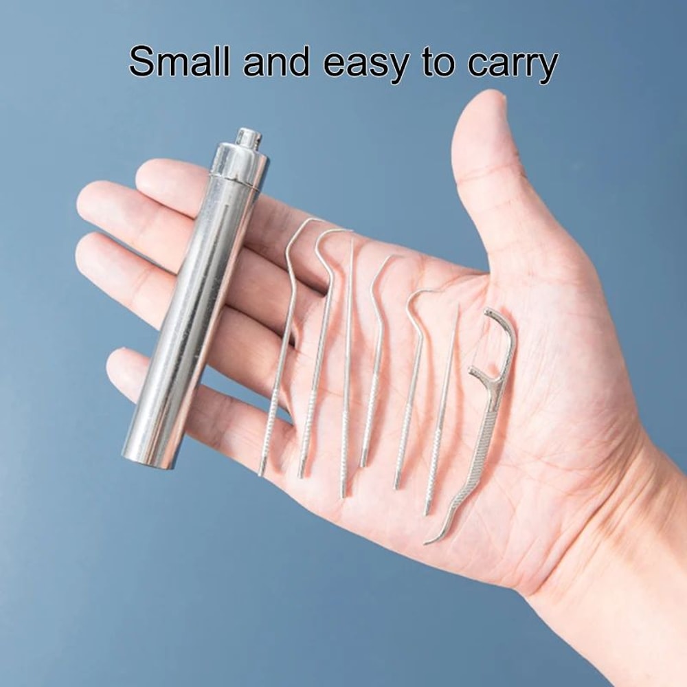 Stainless Steel Toothpick Set With Portable Holder Reusable Dental Cleaning Tools Travel Case Anti 5