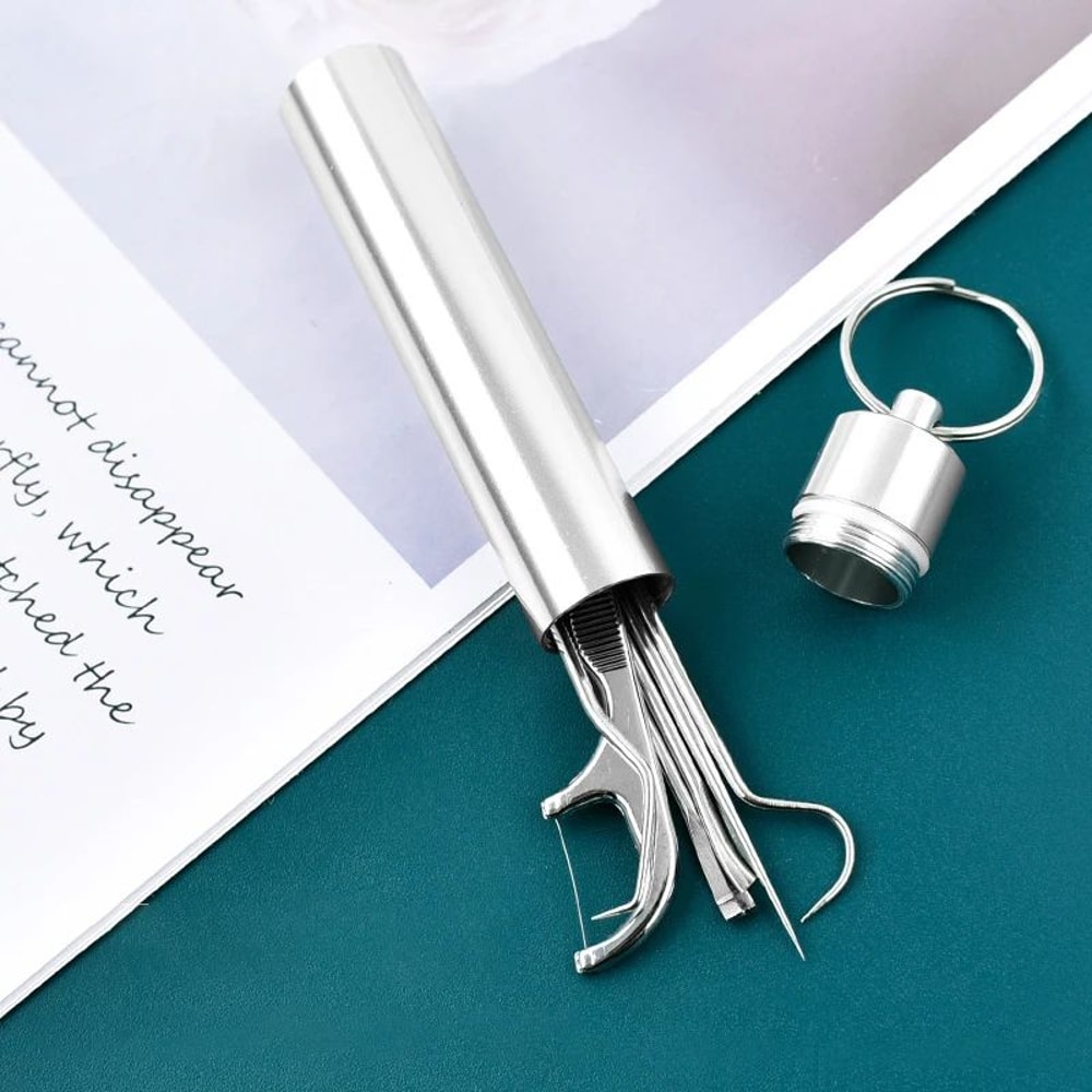 Stainless Steel Toothpick Set With Portable Holder Reusable Dental Cleaning Tools Travel Case Anti 6